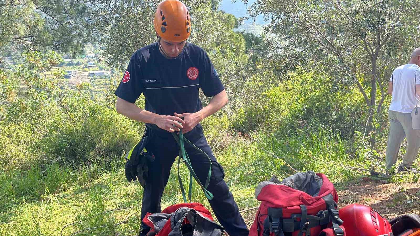 Dağlık alanda otlarken mağaraya düşen inek mağaraya inebilecek kasap bulunamayınca telef oldu
