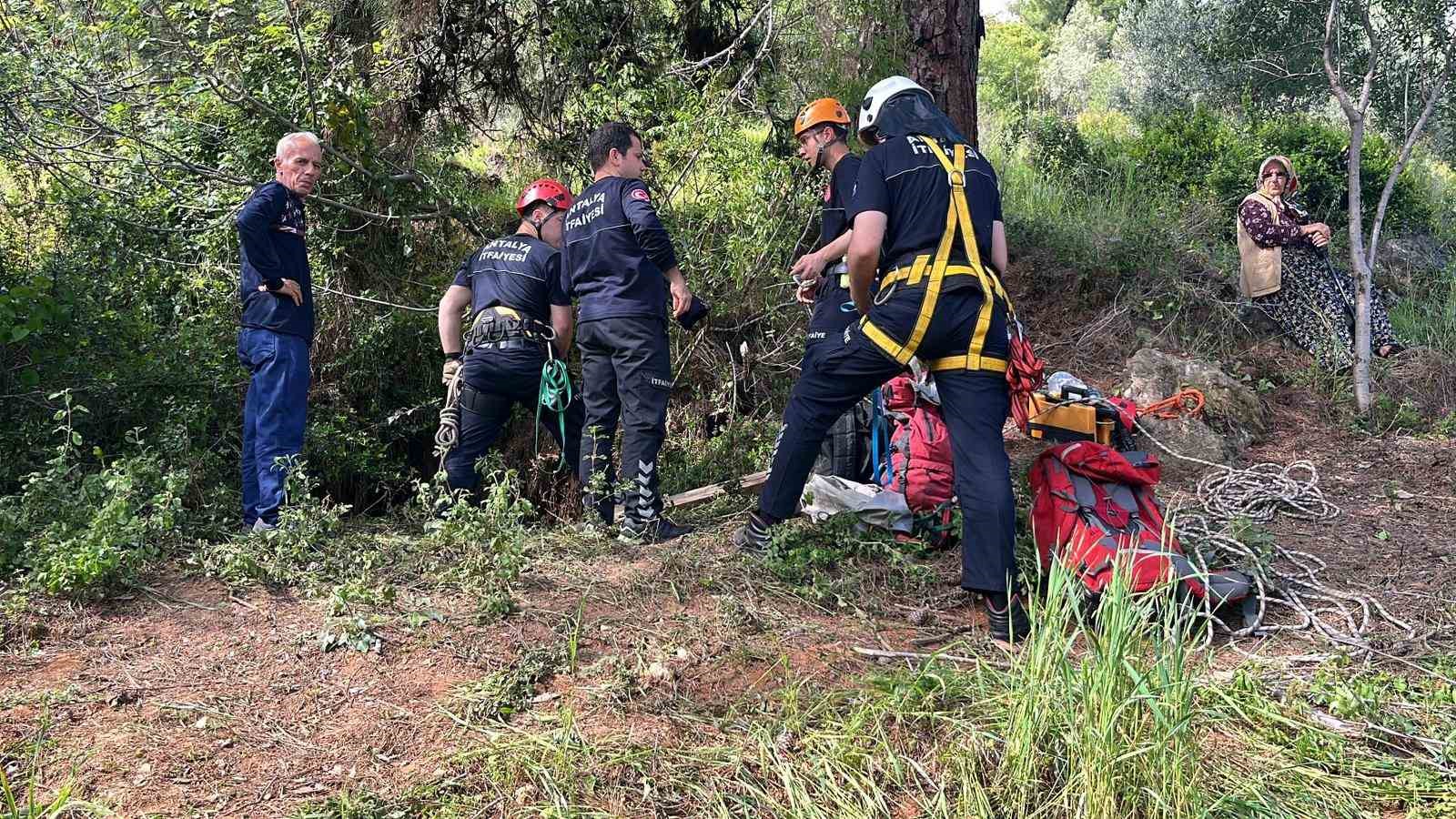 Dağlık alanda otlarken mağaraya düşen inek mağaraya inebilecek kasap bulunamayınca telef oldu
