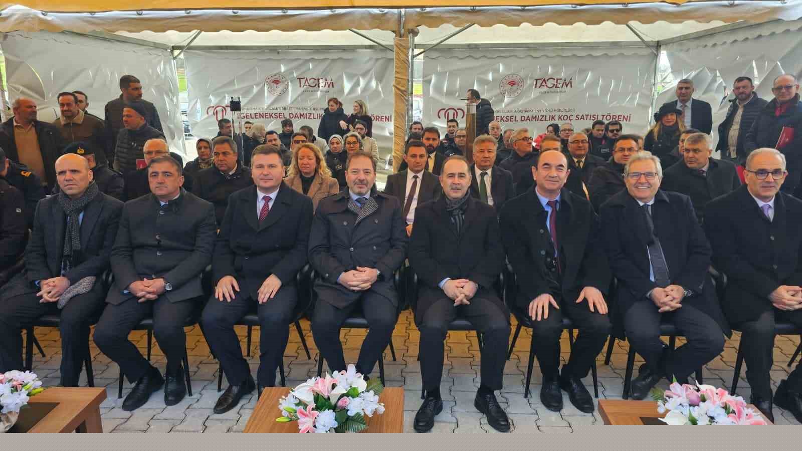 Damızlık koçta rekor, açık artırmada 1 milyonluk satış
Damızlık koçta rekor, açık artırmada 1 milyonluk satış