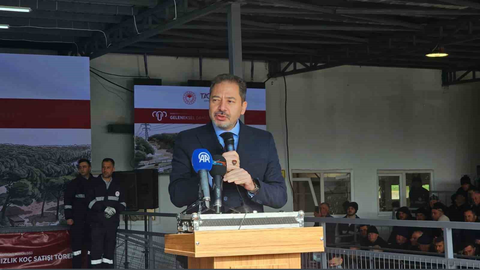 Damızlık koçta rekor, açık artırmada 1 milyonluk satış
Damızlık koçta rekor, açık artırmada 1 milyonluk satış