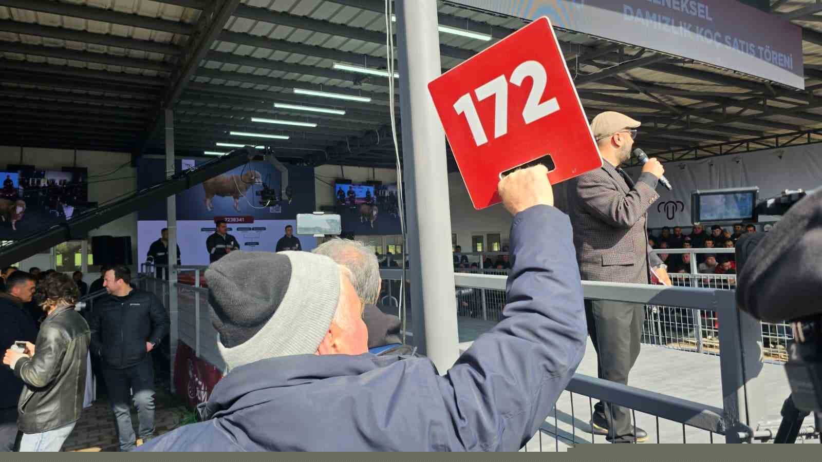 Damızlık koçta rekor, açık artırmada 1 milyonluk satış
Damızlık koçta rekor, açık artırmada 1 milyonluk satış