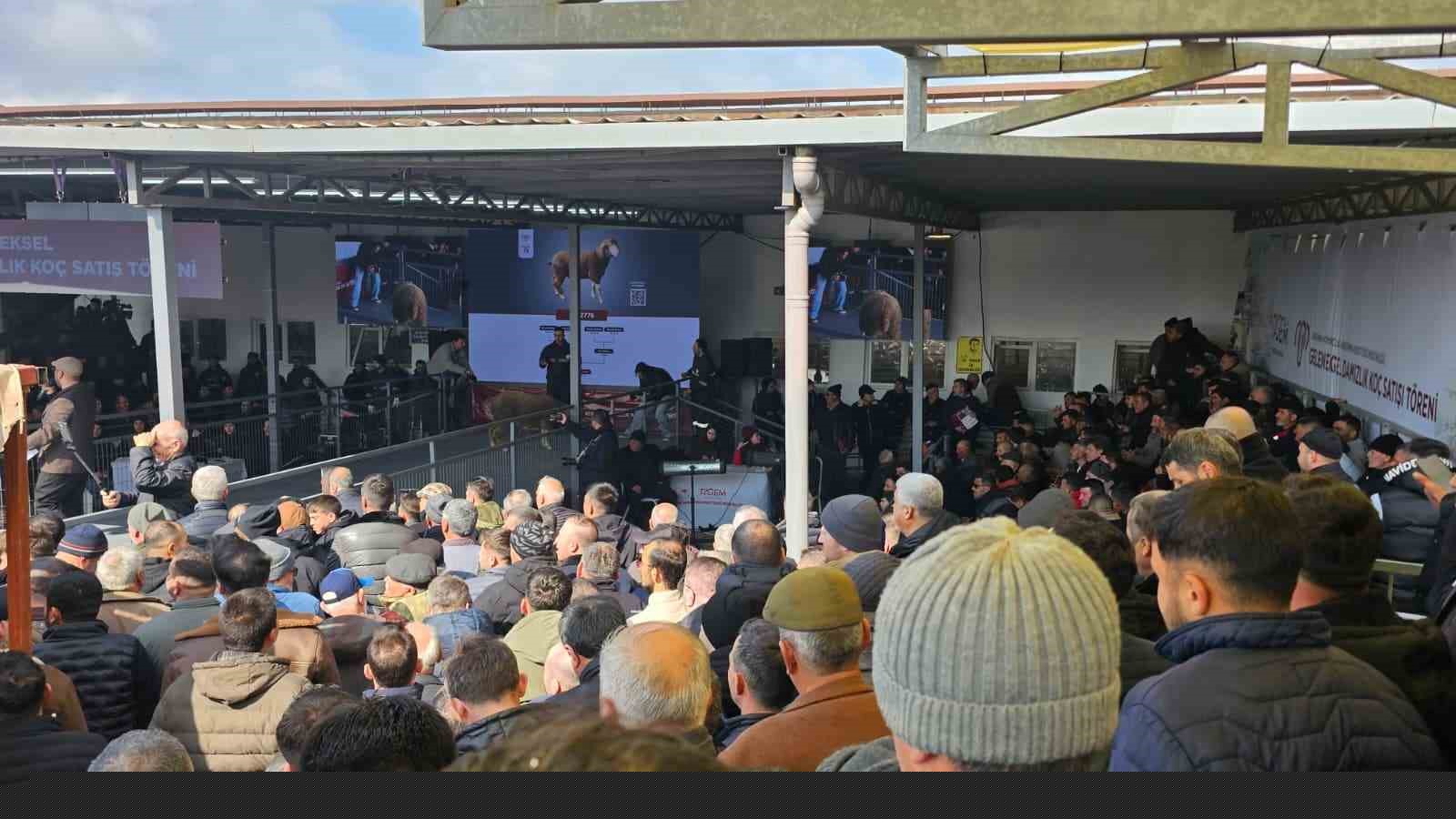 Damızlık koçta rekor, açık artırmada 1 milyonluk satış
Damızlık koçta rekor, açık artırmada 1 milyonluk satış