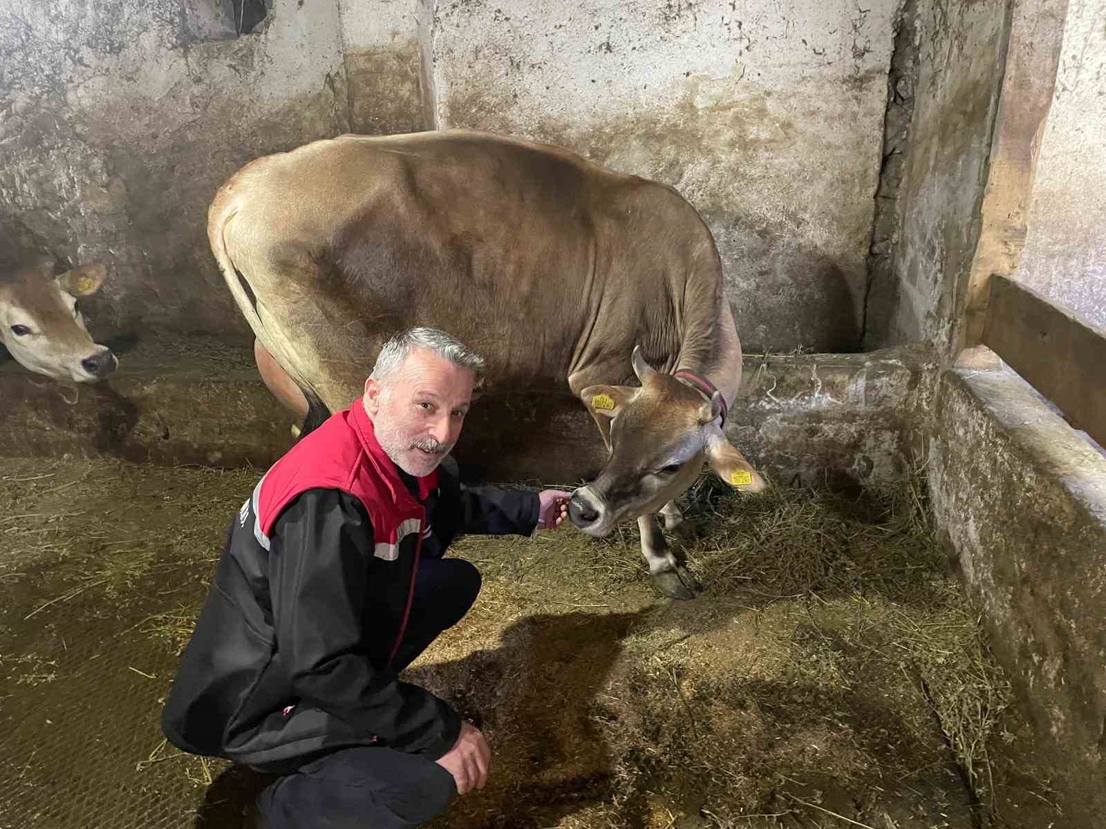 Danimarka ve Amerika’dan getirildiler, Of’a kısa sürede uyum sağladılar
Danimarka ve Amerika’dan getirildiler, Of’a kısa sürede uyum sağladılar