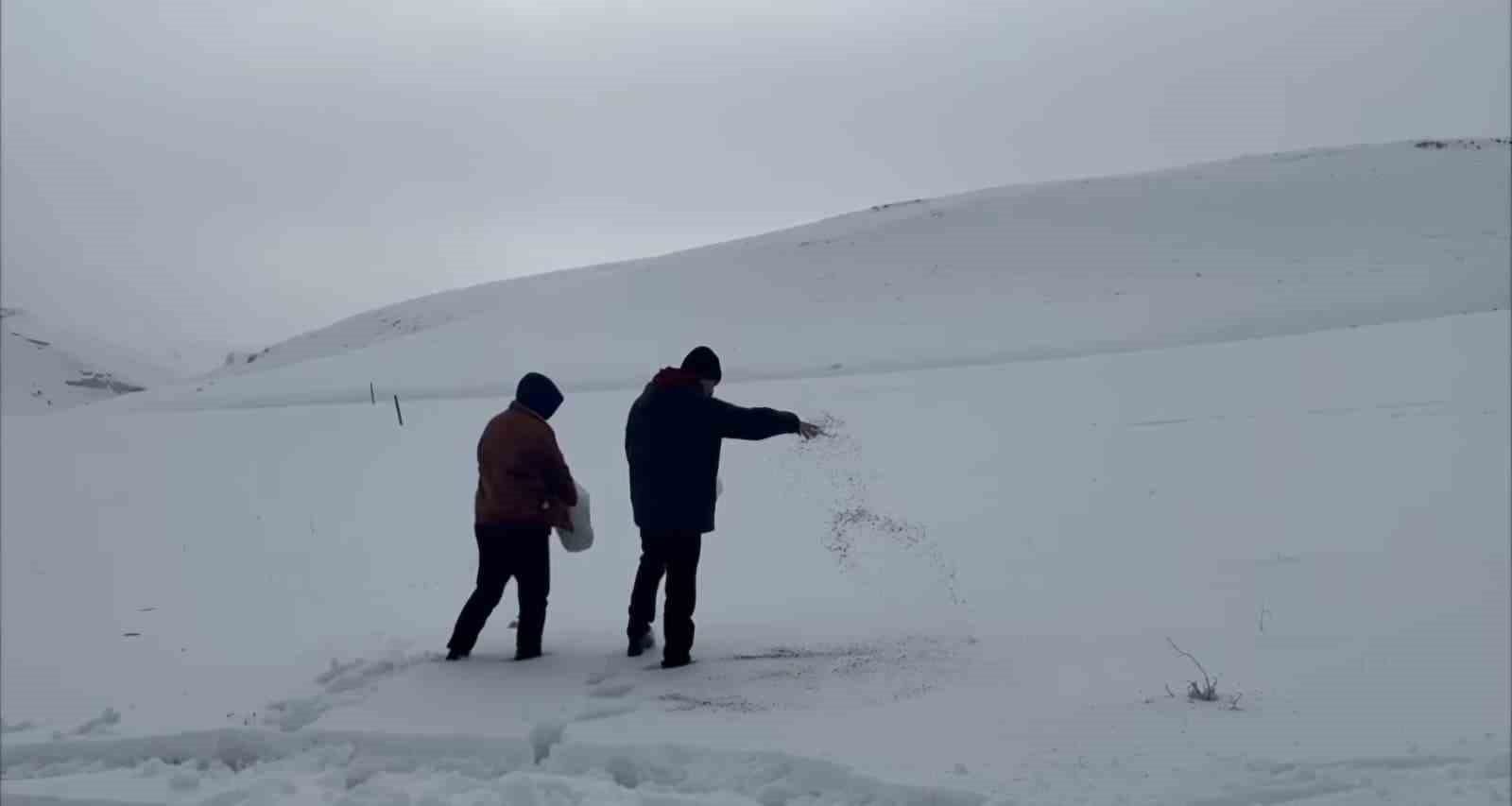Darende’de öğretmen ve öğrencilerden yaban hayvanlarını unutmadı
