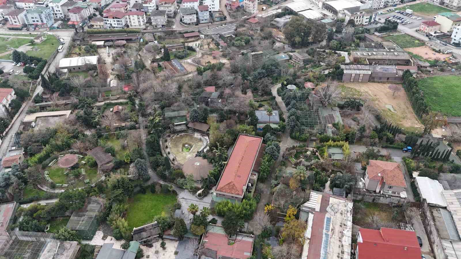 Darıca Hayvanat Bahçesi kapandı, hayvanlar farklı illere nakledildi
