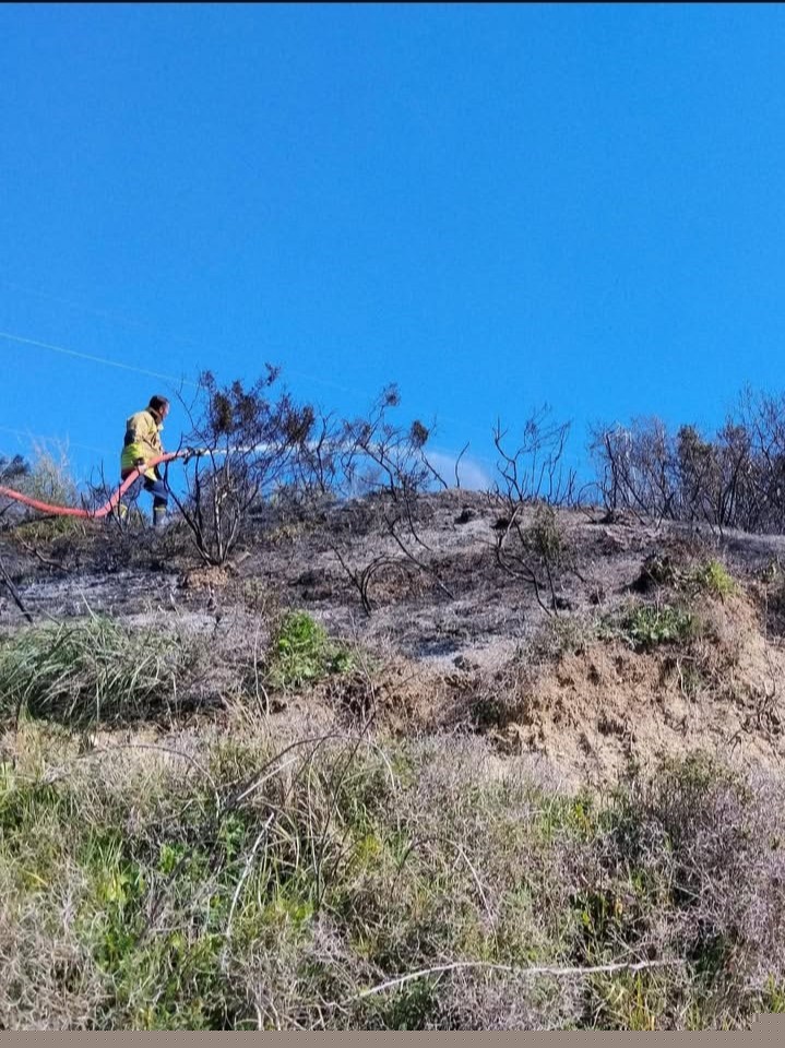 Defne’de çıkan bahçe yangınından alevler yükseldi
