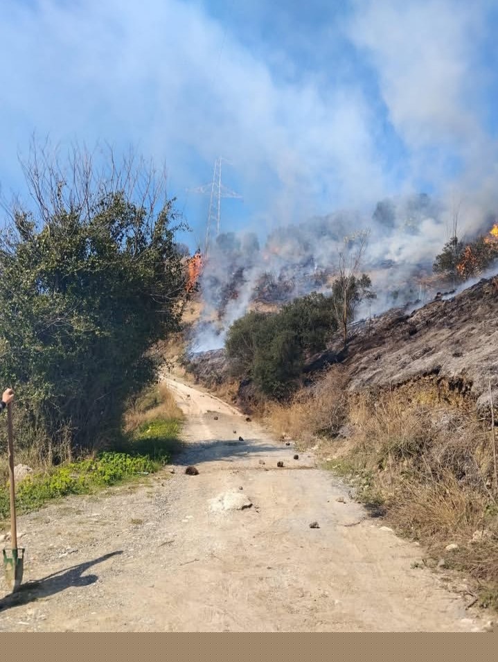 Defne’de çıkan bahçe yangınından alevler yükseldi
