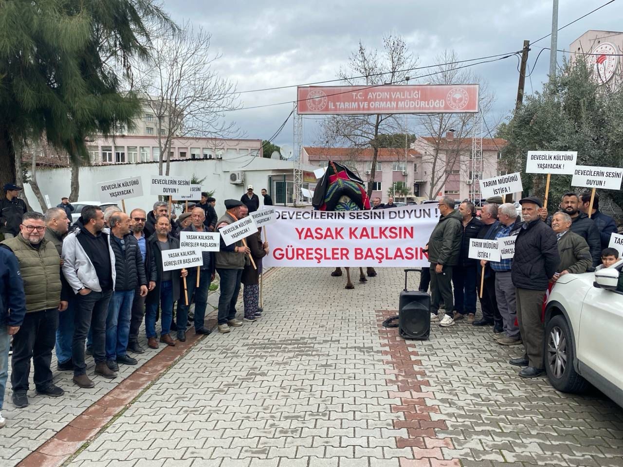 DEGÜF üyeleri deve güreşlerinin yapılmamasını protesto etti
