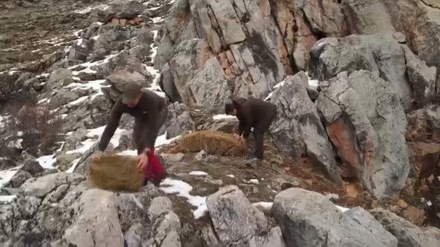 Demirkazık’ta yaban hayatı için yemleme çalışmaları sürüyor
