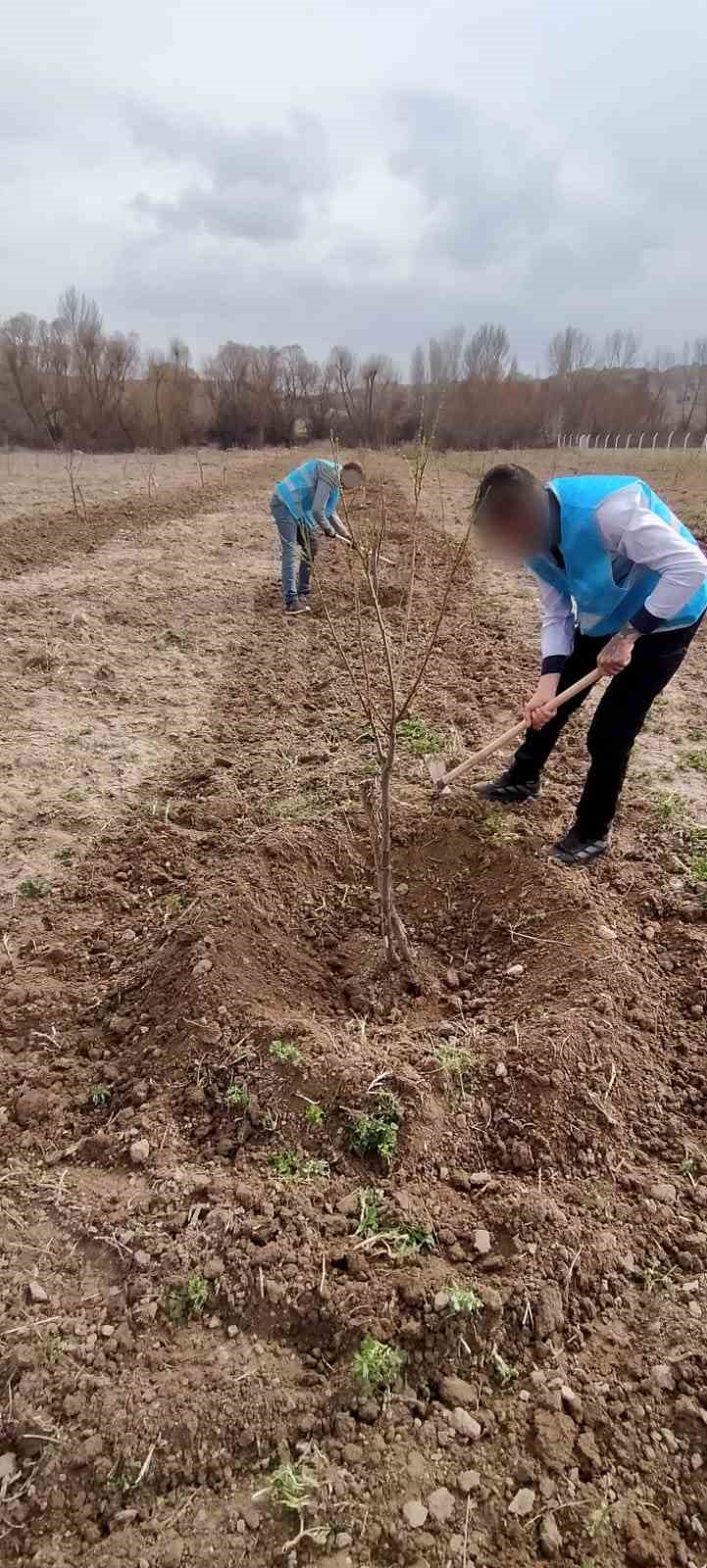 Denetimli serbestlik yükümlüleri ’Adalet Ormanı’nda meyve yetiştiriyor
