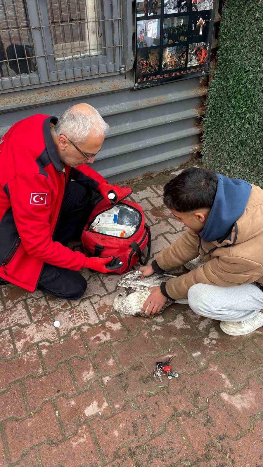 Denizde can mücadelesi: Martıyı 911 ekipleri kurtardı
