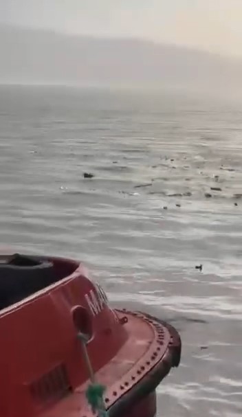 Denizi şehir çöplüğüne çevirdiler
