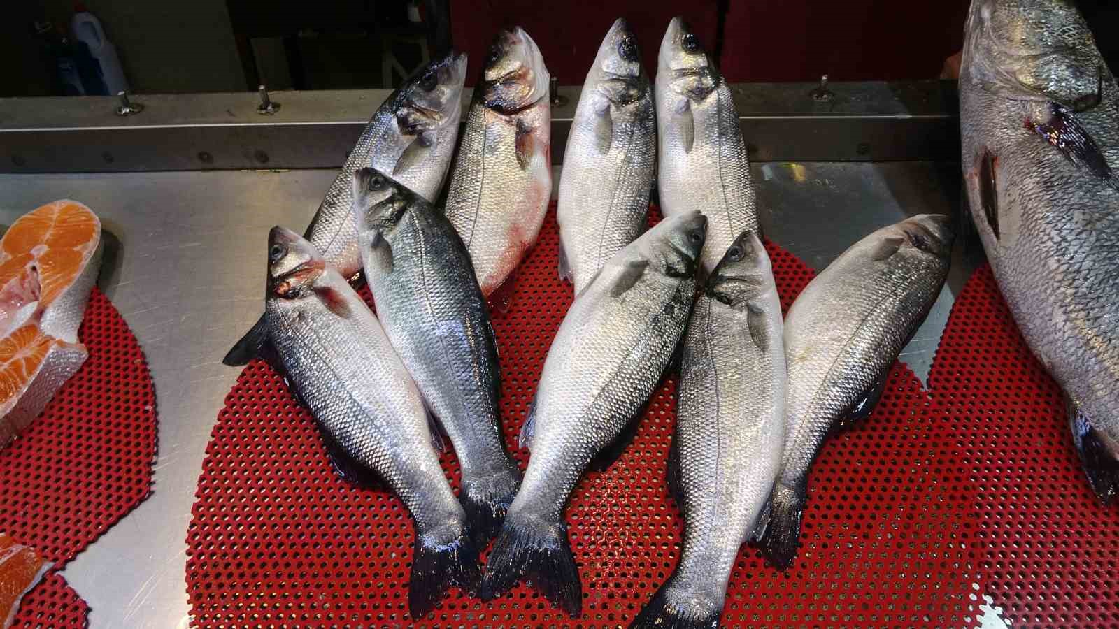 Denizlerde av yasağının başlamasının ardından tezgahlar kültür balıklarına kaldı
