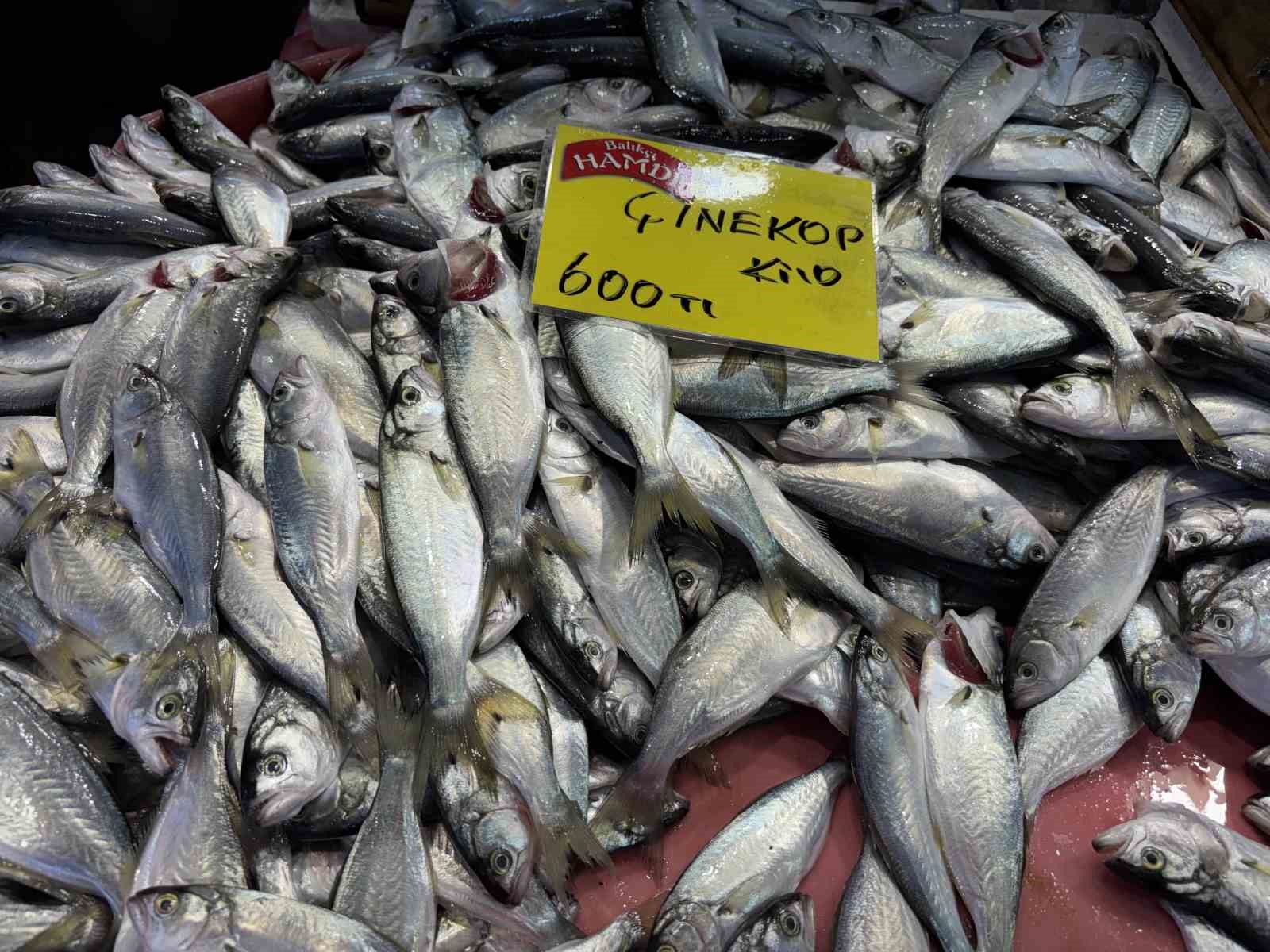 Denizlerdeki durgunluk tezgaha yansıdı
