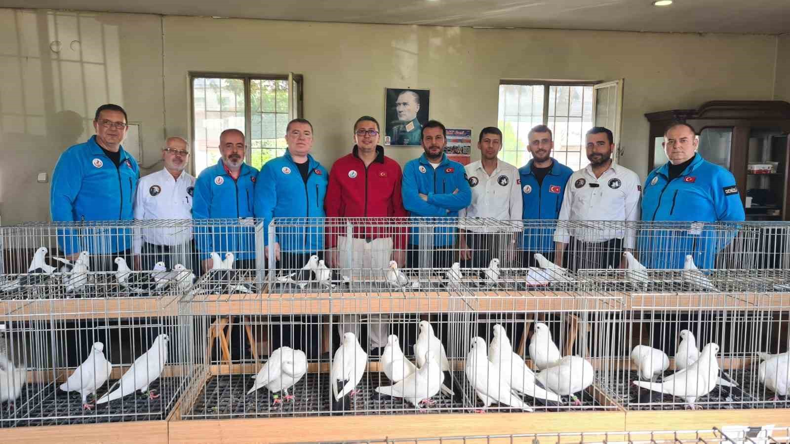 Denizli azman güvercinleri güzellikleriyle mest etti
