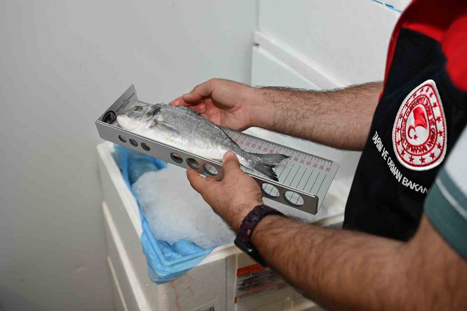 Denizli’de 2025 yılında alabalık üreticisine 3,8 milyon TL destek sağlandı
