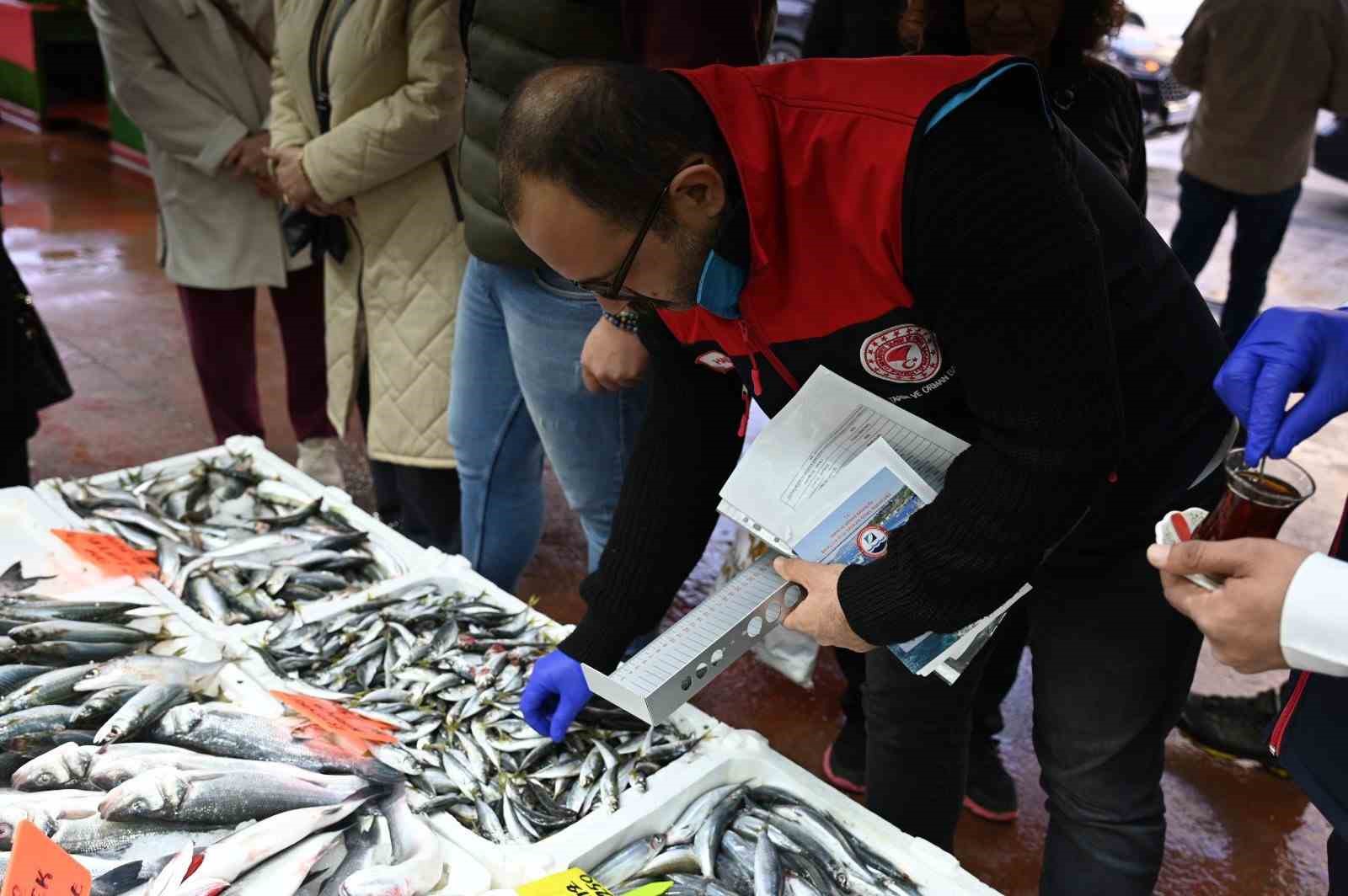Denizli’de 2025 yılında alabalık üreticisine 3,8 milyon TL destek sağlandı
