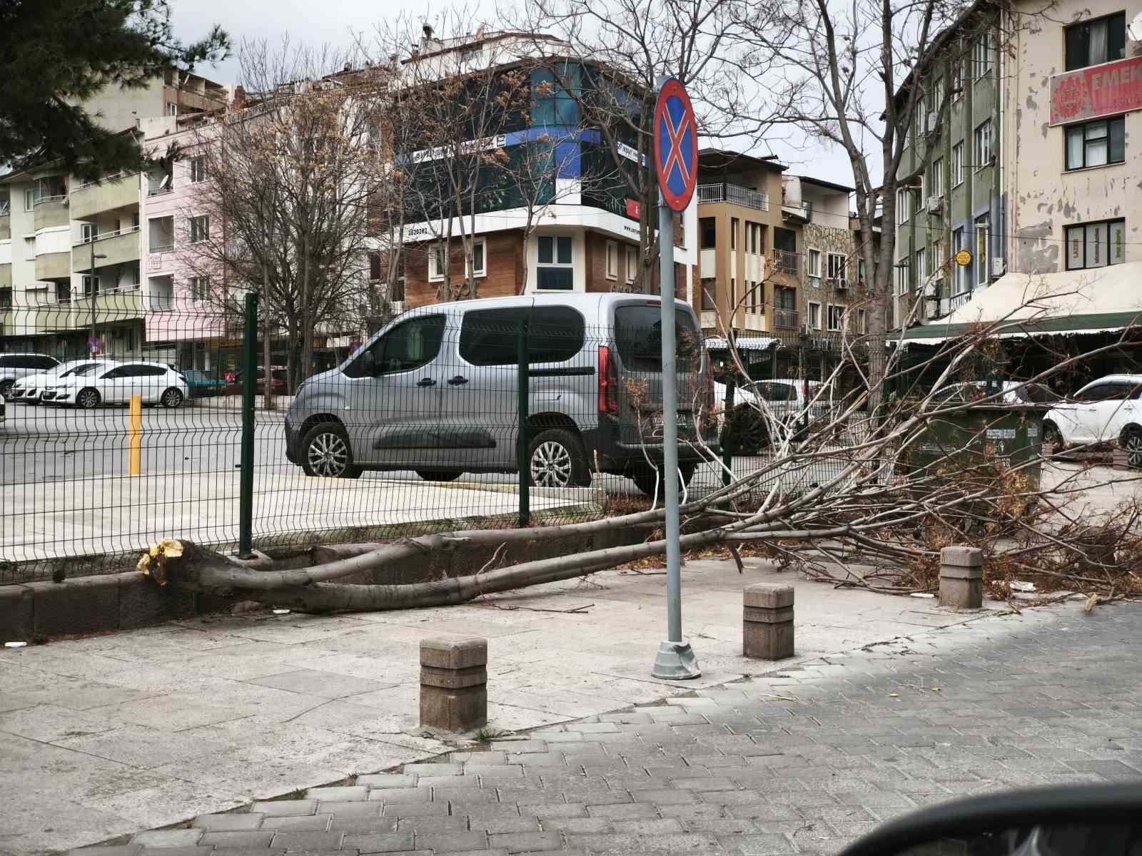 Denizli’de şiddetli rüzgar hayatı olumsuz etkiledi: çatılar uçtu, insanlar yürüyemedi

