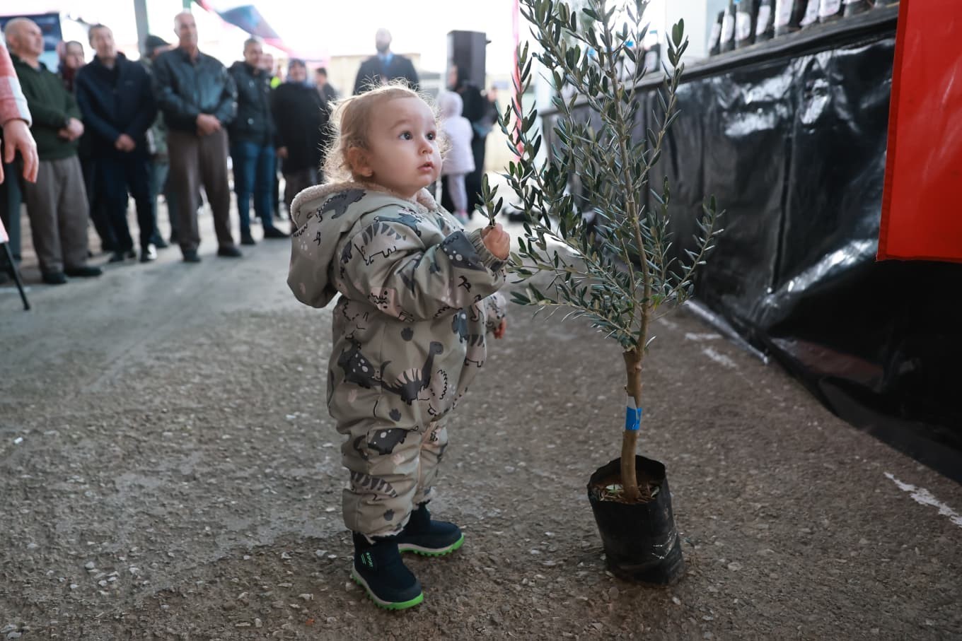 Denizli’nin 19 ilçesinde 84 bin zeytin fidanı üreticilere dağıtıldı
Denizli’nin 19 ilçesinde 84 bin zeytin fidanı üreticilere dağıtıldı