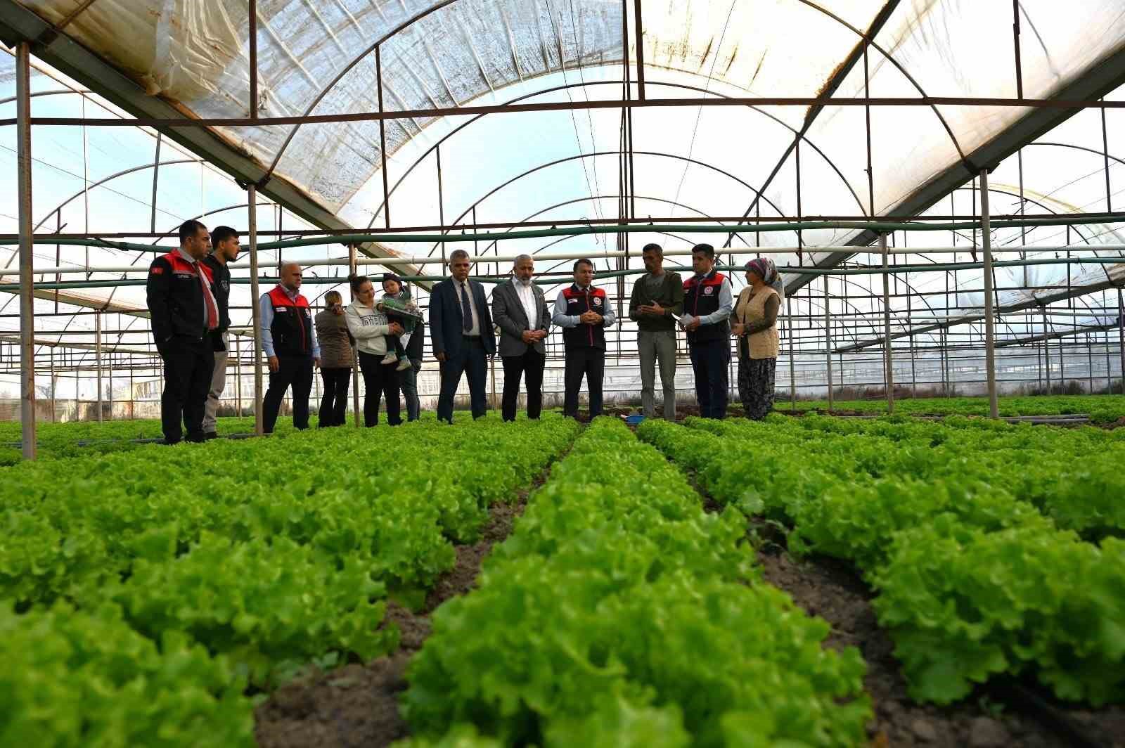 Denizli’nin 2025 bitkisel üretim tablosu yüz güldürdü
