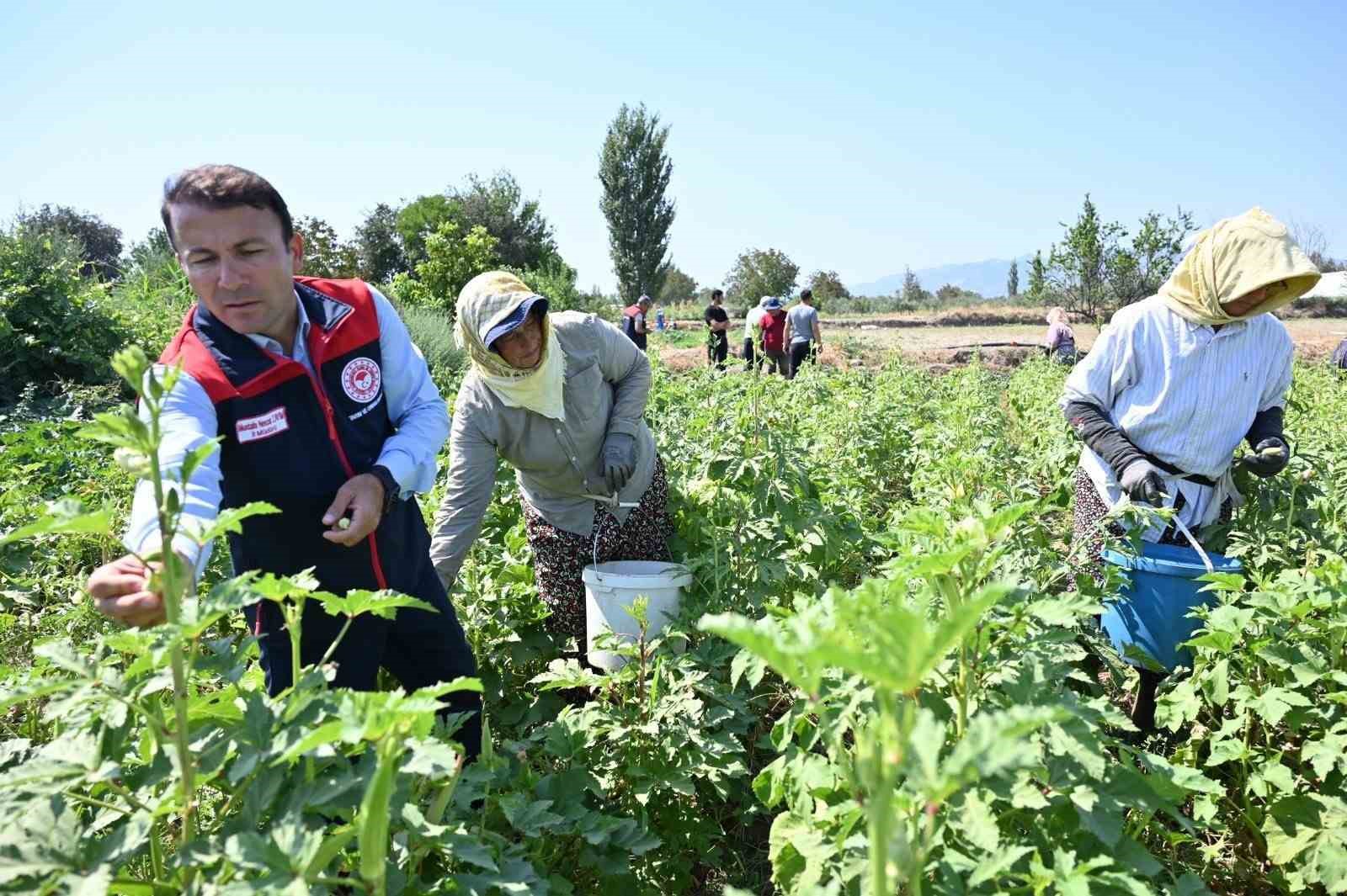 Denizli’nin 2025 bitkisel üretim tablosu yüz güldürdü
