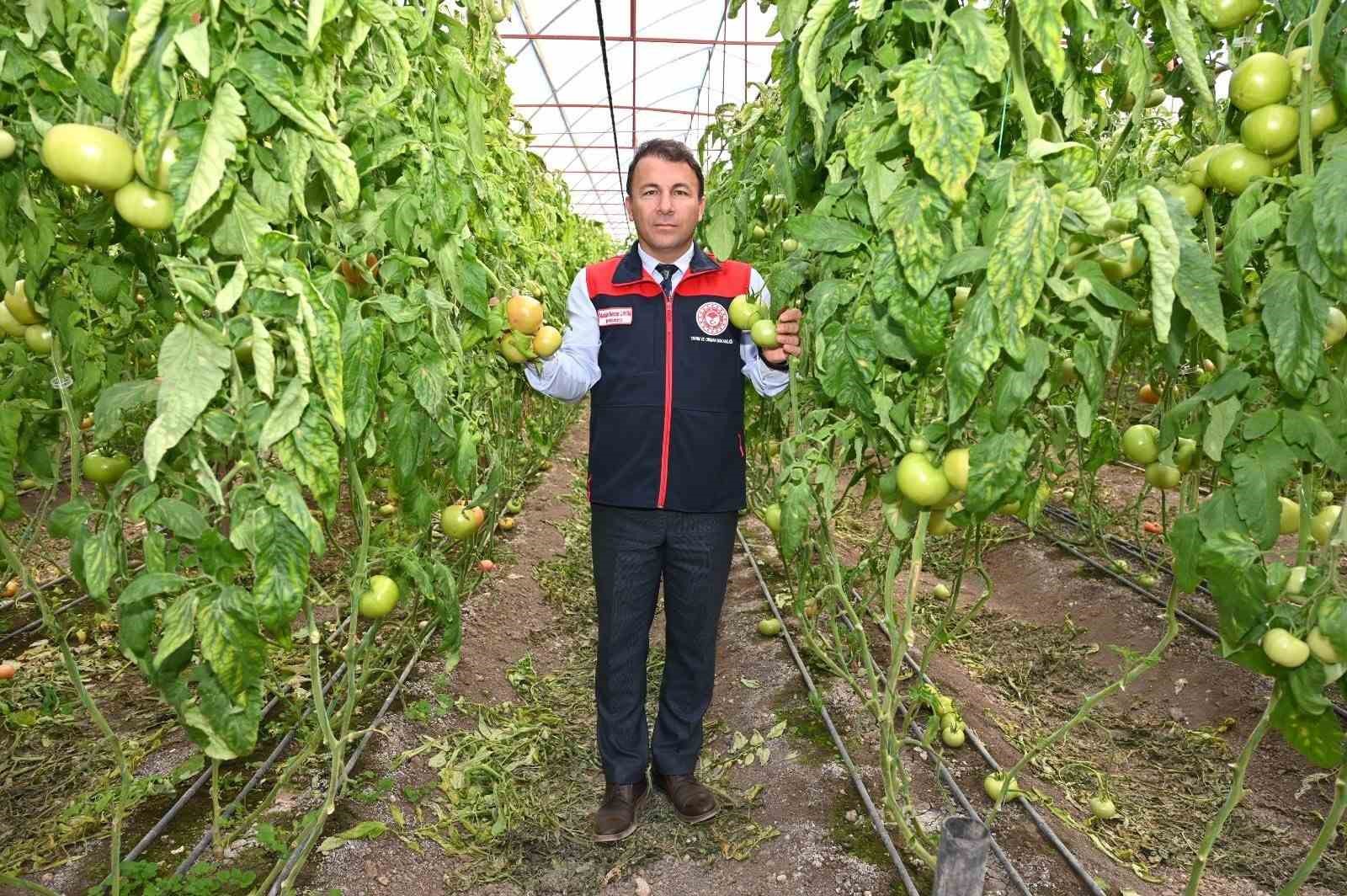 Denizli’nin 2025 bitkisel üretim tablosu yüz güldürdü
