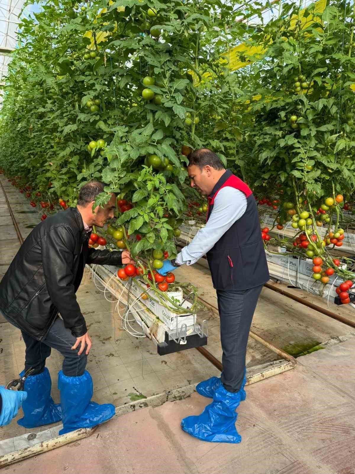 Denizli’nin 2025 bitkisel üretim tablosu yüz güldürdü
