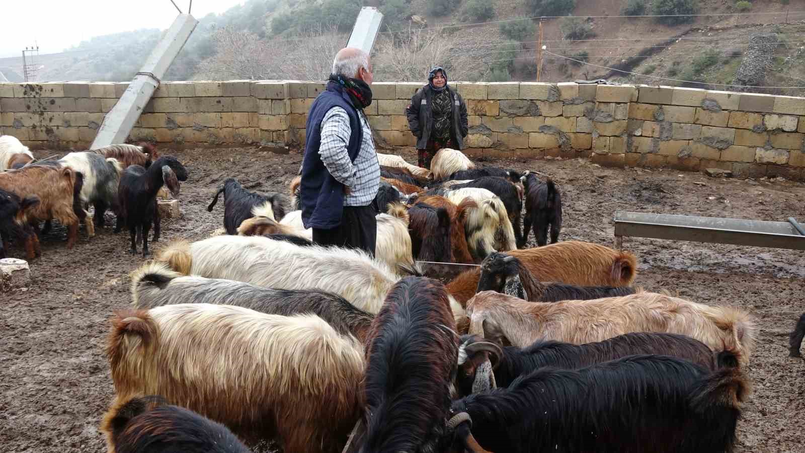Depremzede besici devlet desteğiyle hayata tutundu
