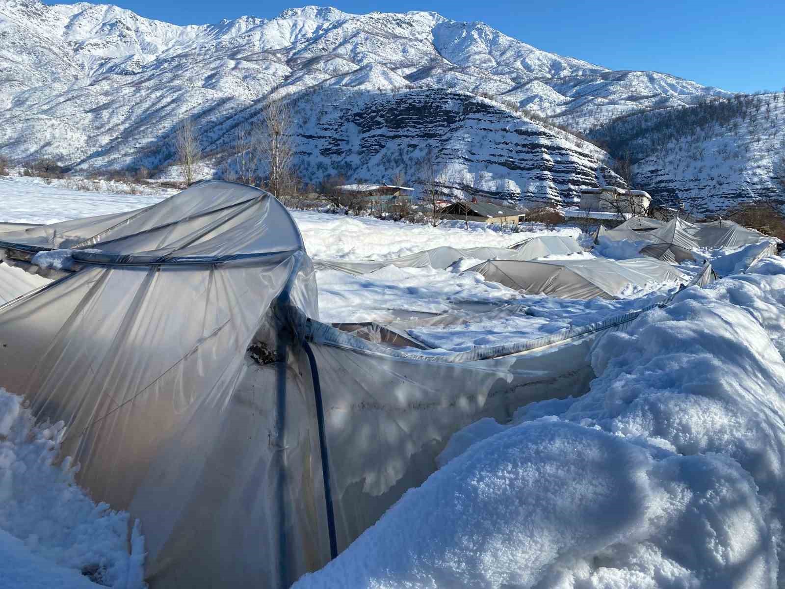 Derecik’te kardan dolayı 38 sera zara gördü
