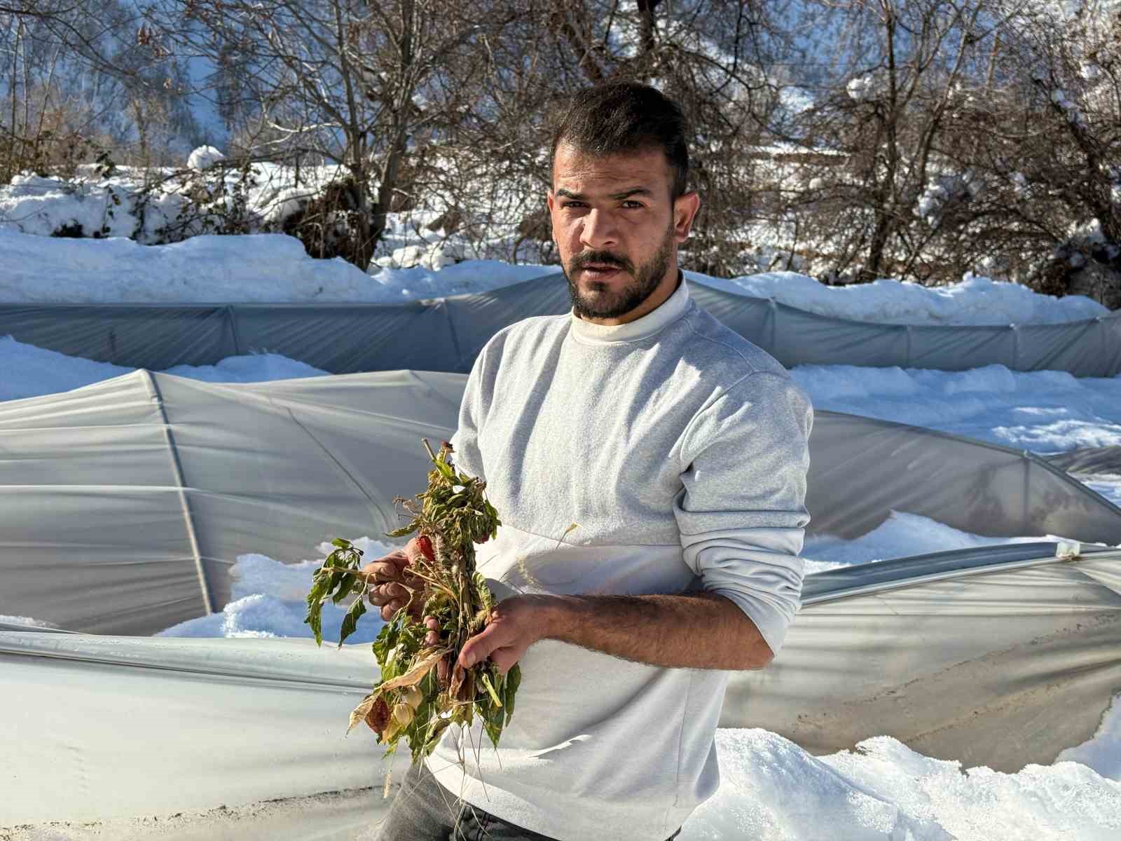 Derecik’te kardan dolayı 38 sera zara gördü
