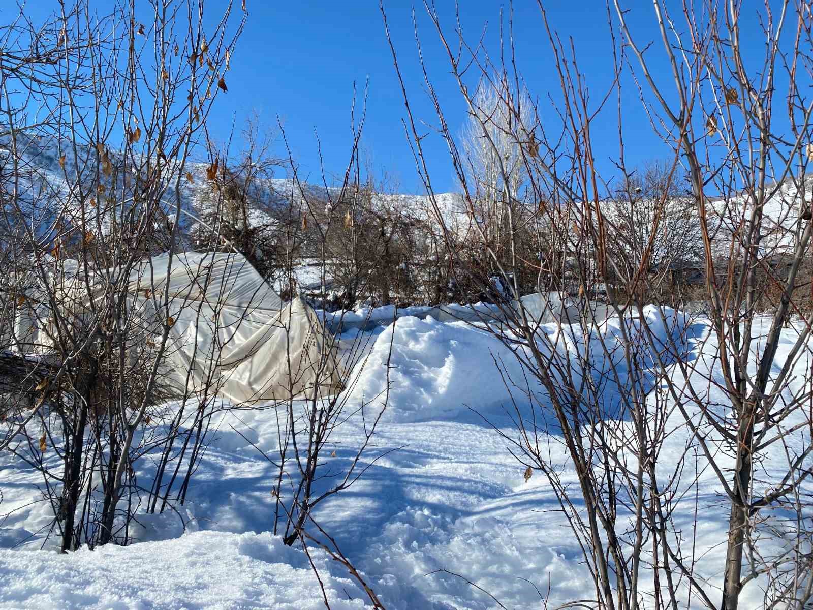 Derecik’te kardan dolayı 38 sera zara gördü
