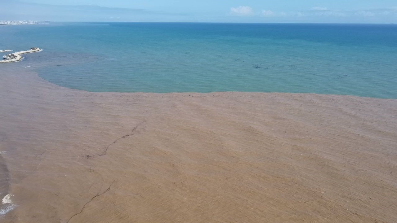 Derelerden Akdeniz’e akan sel suları kıyı şeridini çamura bürüdü
