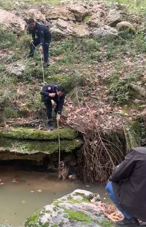 Dereye düşen köpek duyarlı vatandaş sayesinde kurtarıldı
