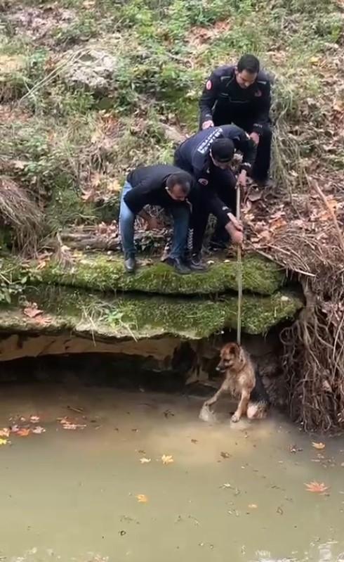 Dereye düşen köpek duyarlı vatandaş sayesinde kurtarıldı
