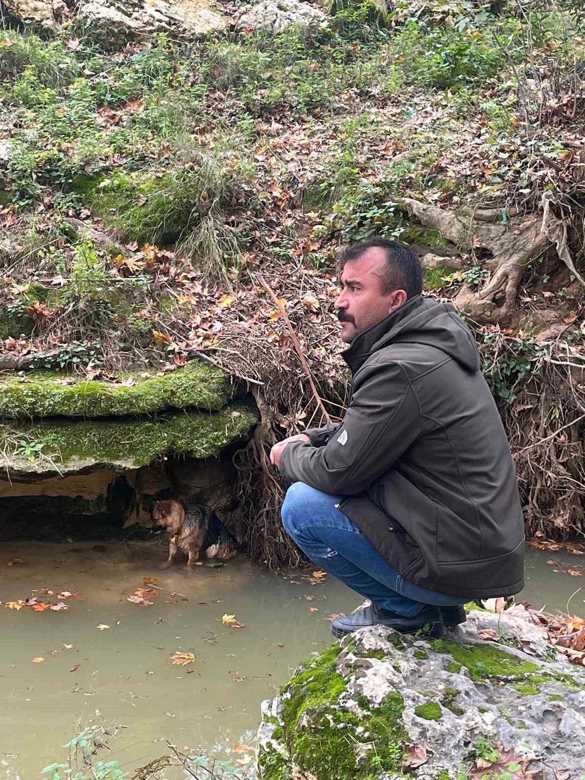 Dereye düşen köpek duyarlı vatandaş sayesinde kurtarıldı
