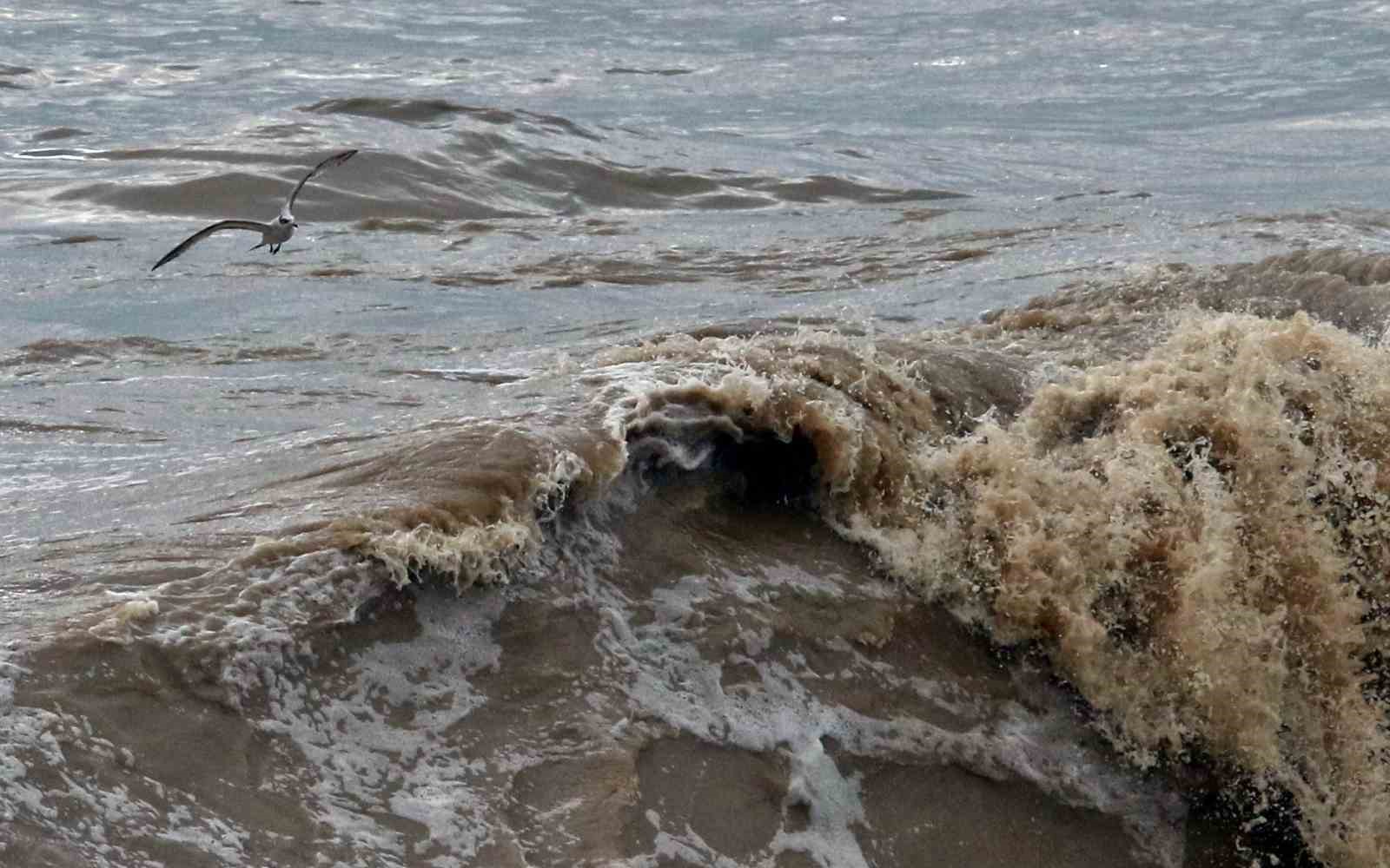 Dev dalgalar sahili dövdü: Martılar balık, define avcıları kıymetli eşya aradı

