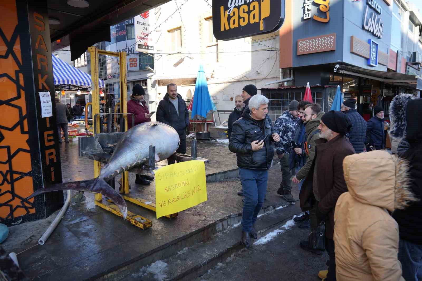 Dev Orkinos Erzincan’da olay oldu! Tezgâh önünde fotoğraf yarışı
