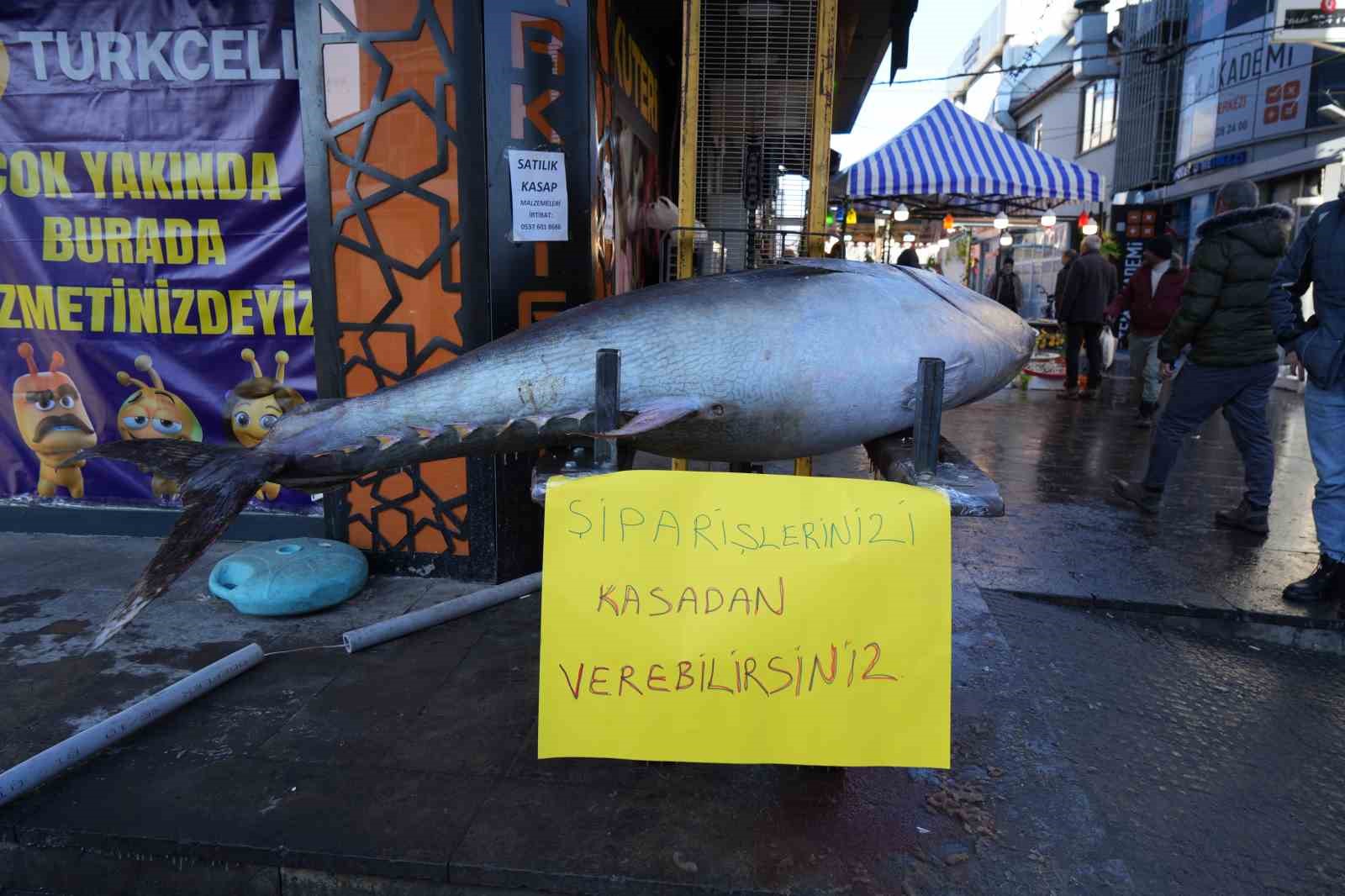 Dev Orkinos Erzincan’da olay oldu! Tezgâh önünde fotoğraf yarışı
