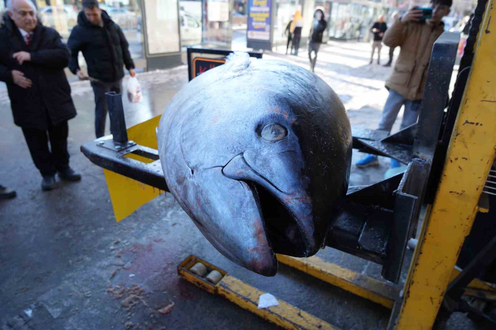 Dev Orkinos Erzincan’da olay oldu! Tezgâh önünde fotoğraf yarışı
