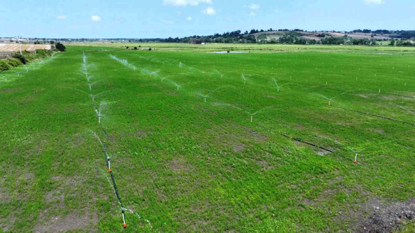 Dev sulama projesinde sona gelindi
