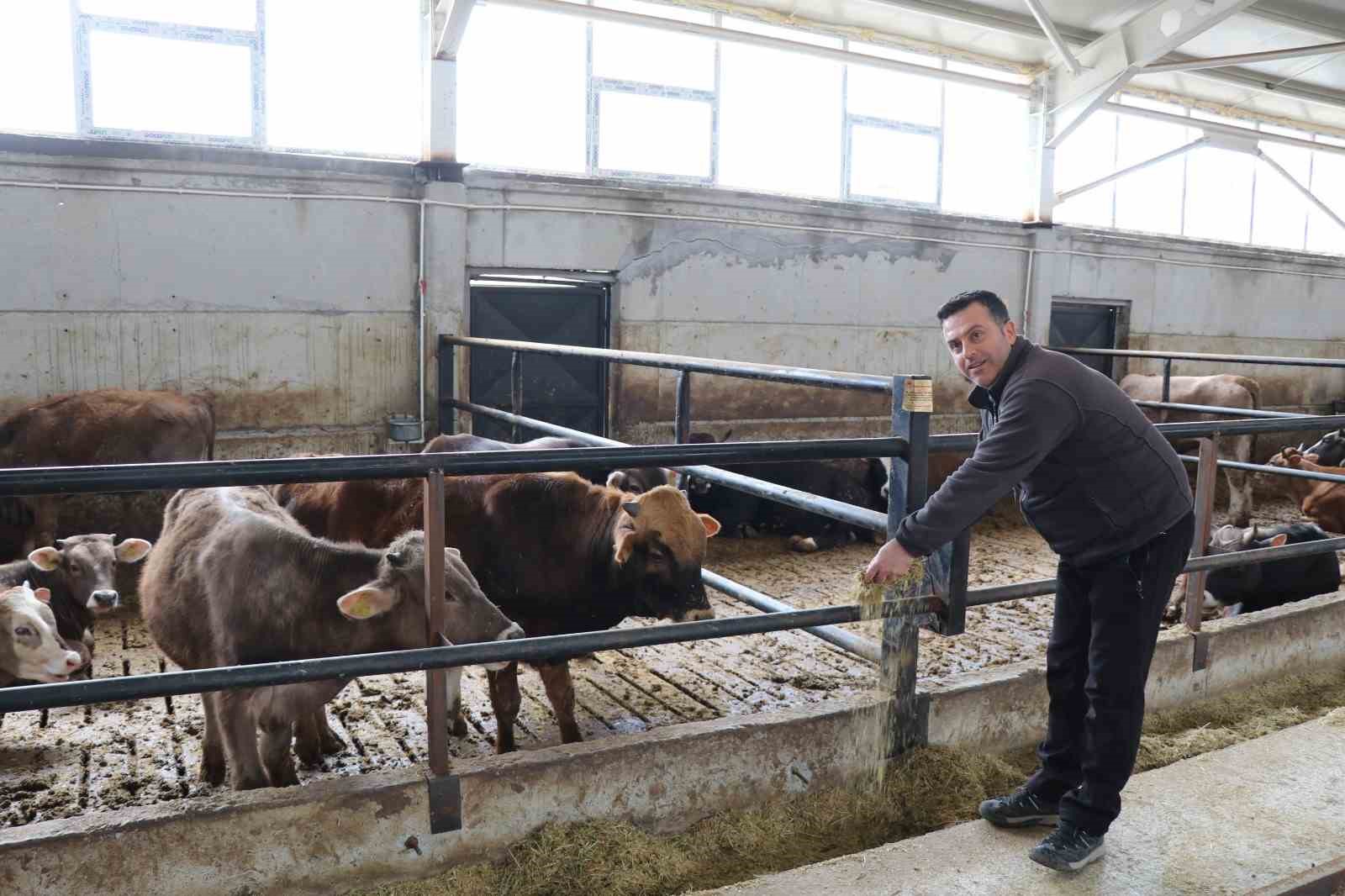 Devlet desteği ile kurduğu akıllı ahır projesiyle verimliliği artırdı
