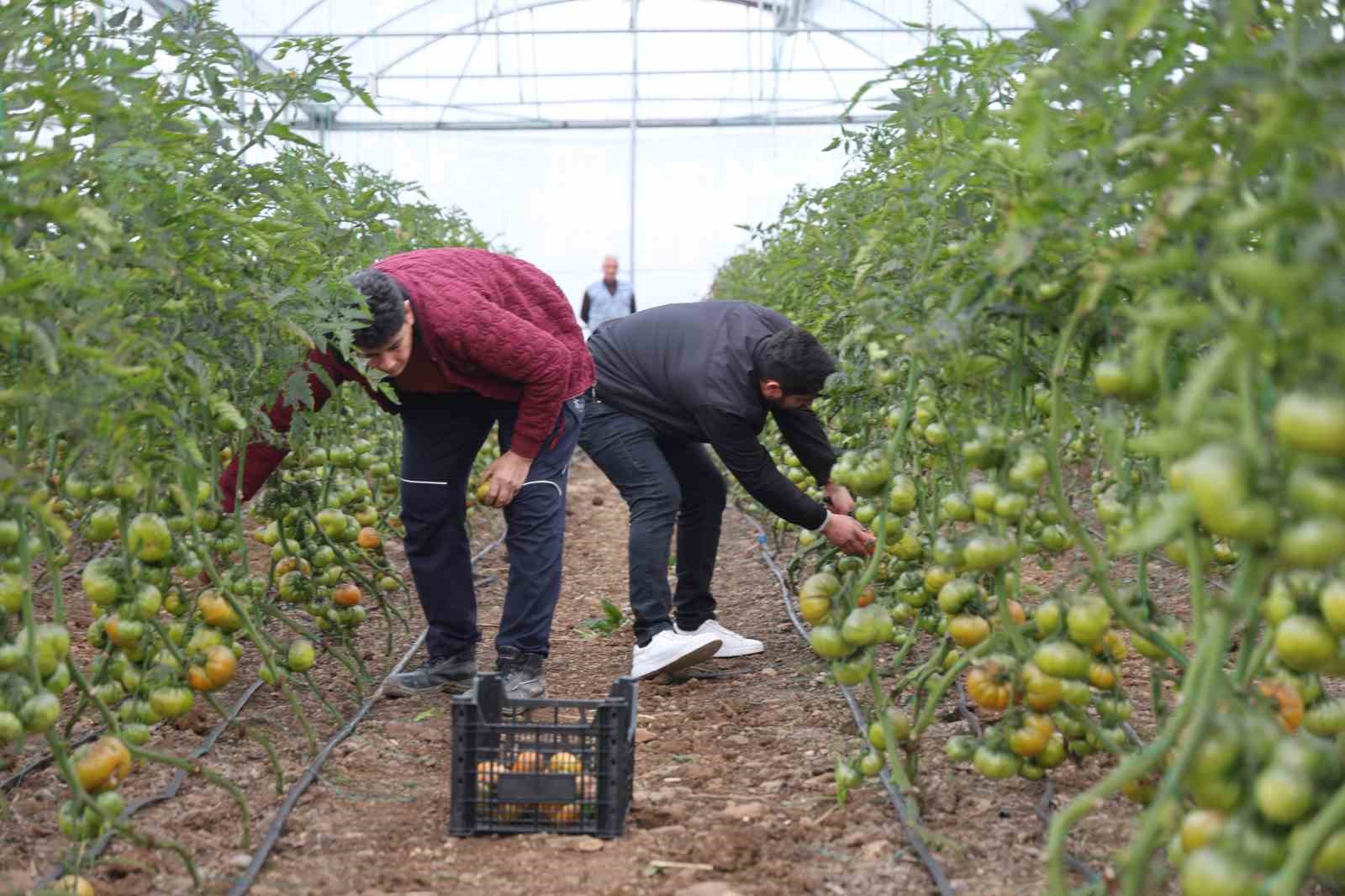 Devlet desteğiyle kendi işlerinin sahibi oldular, üretime başladılar
