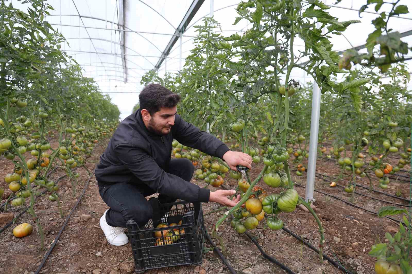 Devlet desteğiyle kendi işlerinin sahibi oldular, üretime başladılar
