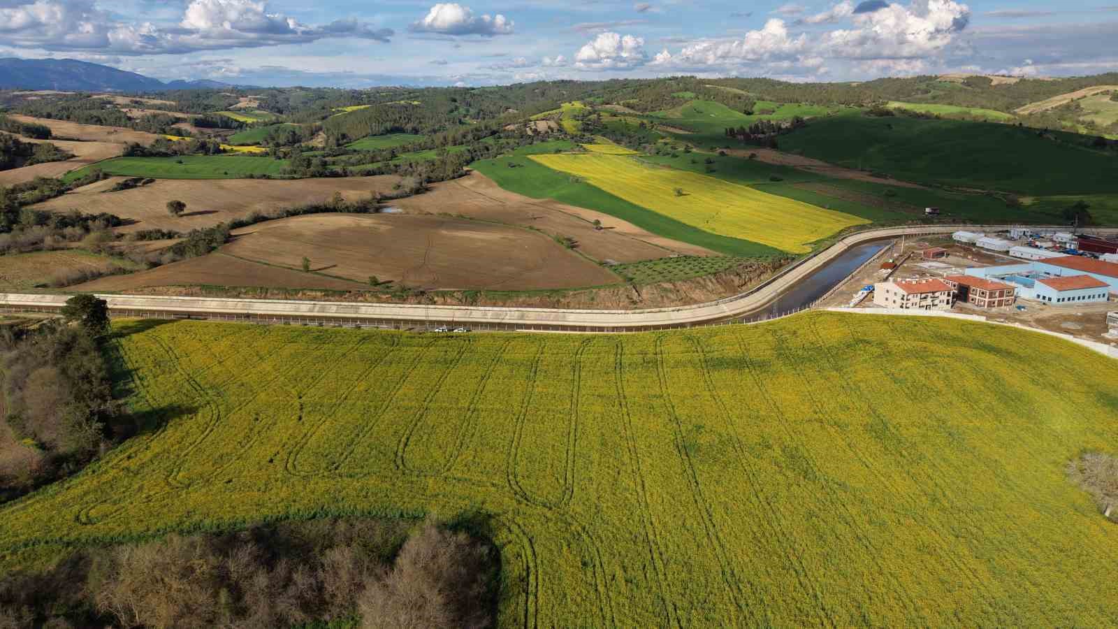 Devlet destekli kanola üretimi Adanalı çiftçinin yüzünü güldürdü
