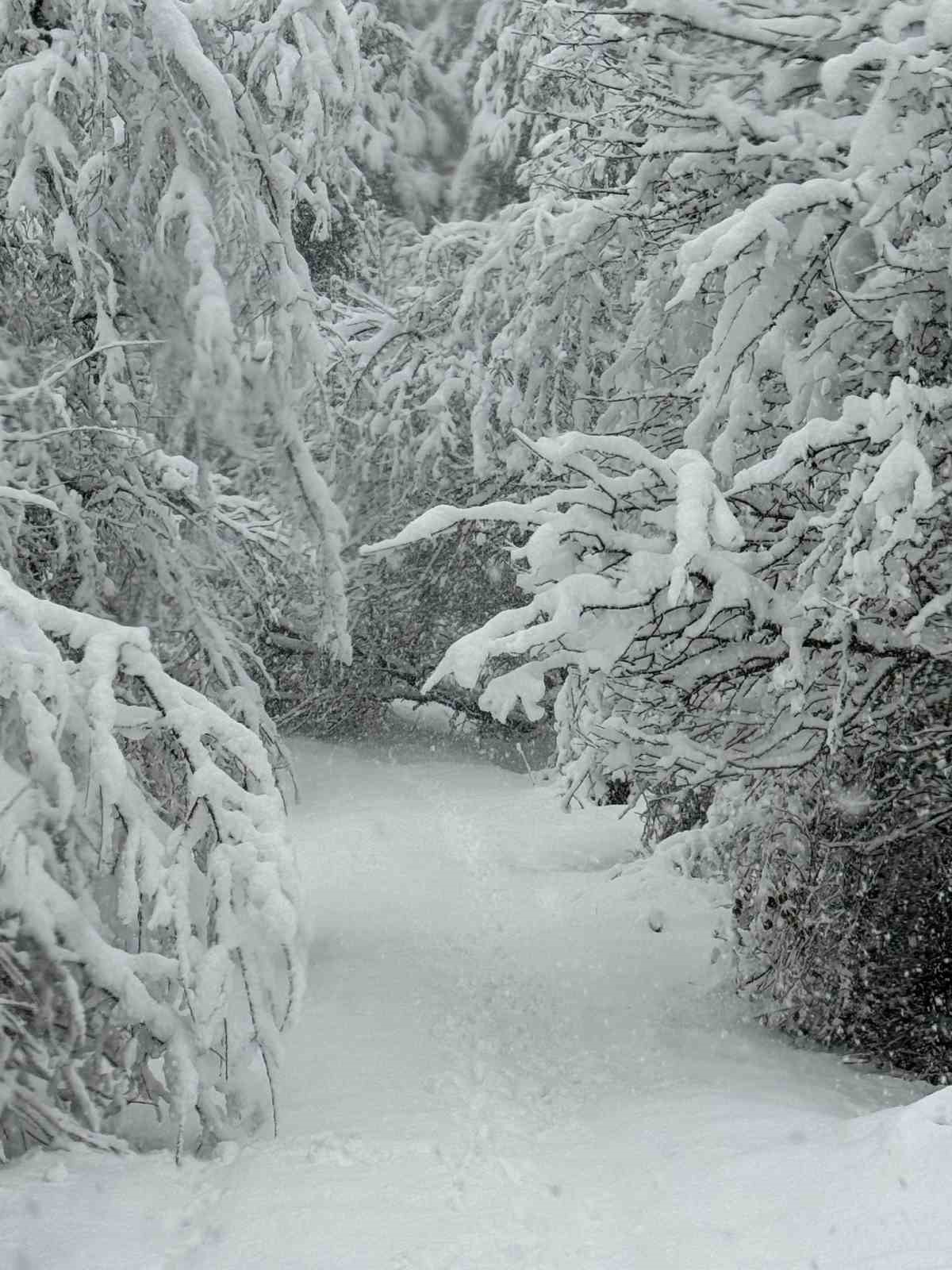 Devrek’te 45 köy yolu kar nedeniyle ulaşıma kapandı
