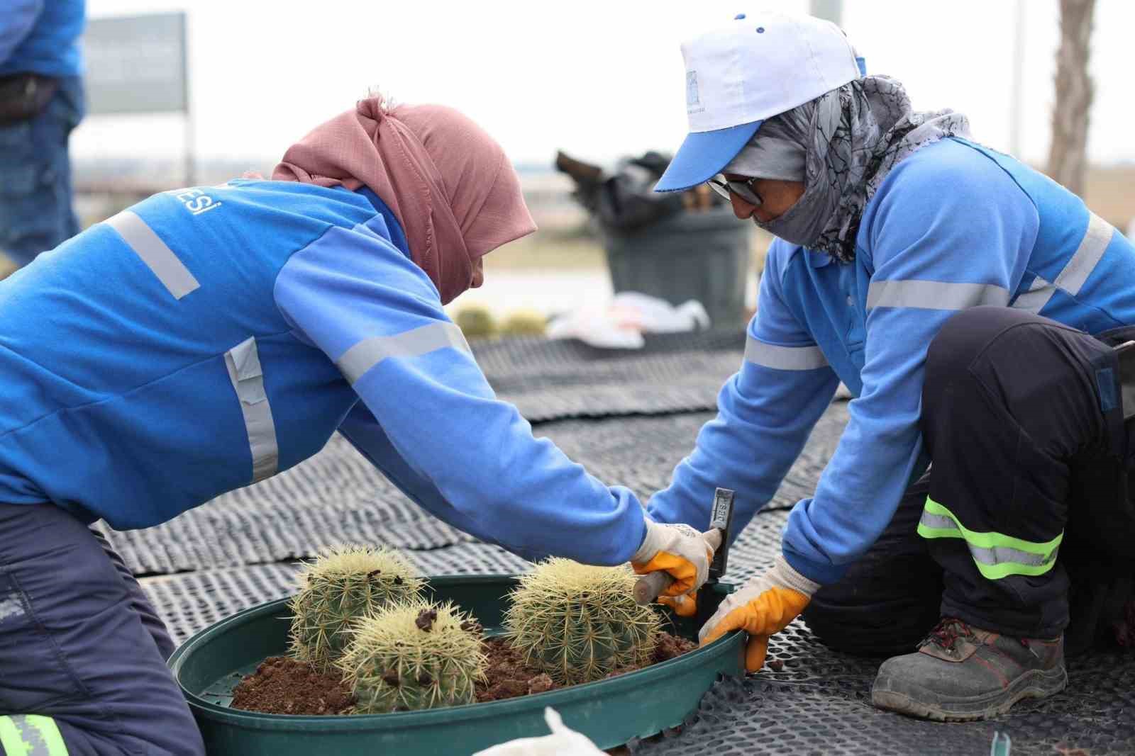 Didim Belediyesi, Didim’e çıkan yolları güzelleştirdi

