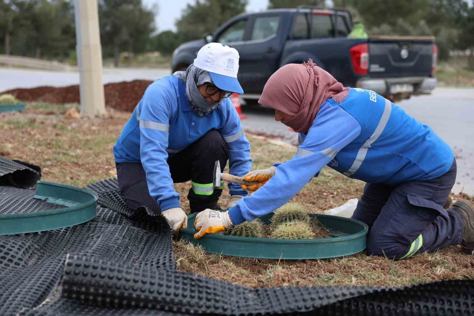 Didim Belediyesi, Didim’e çıkan yolları güzelleştirdi
