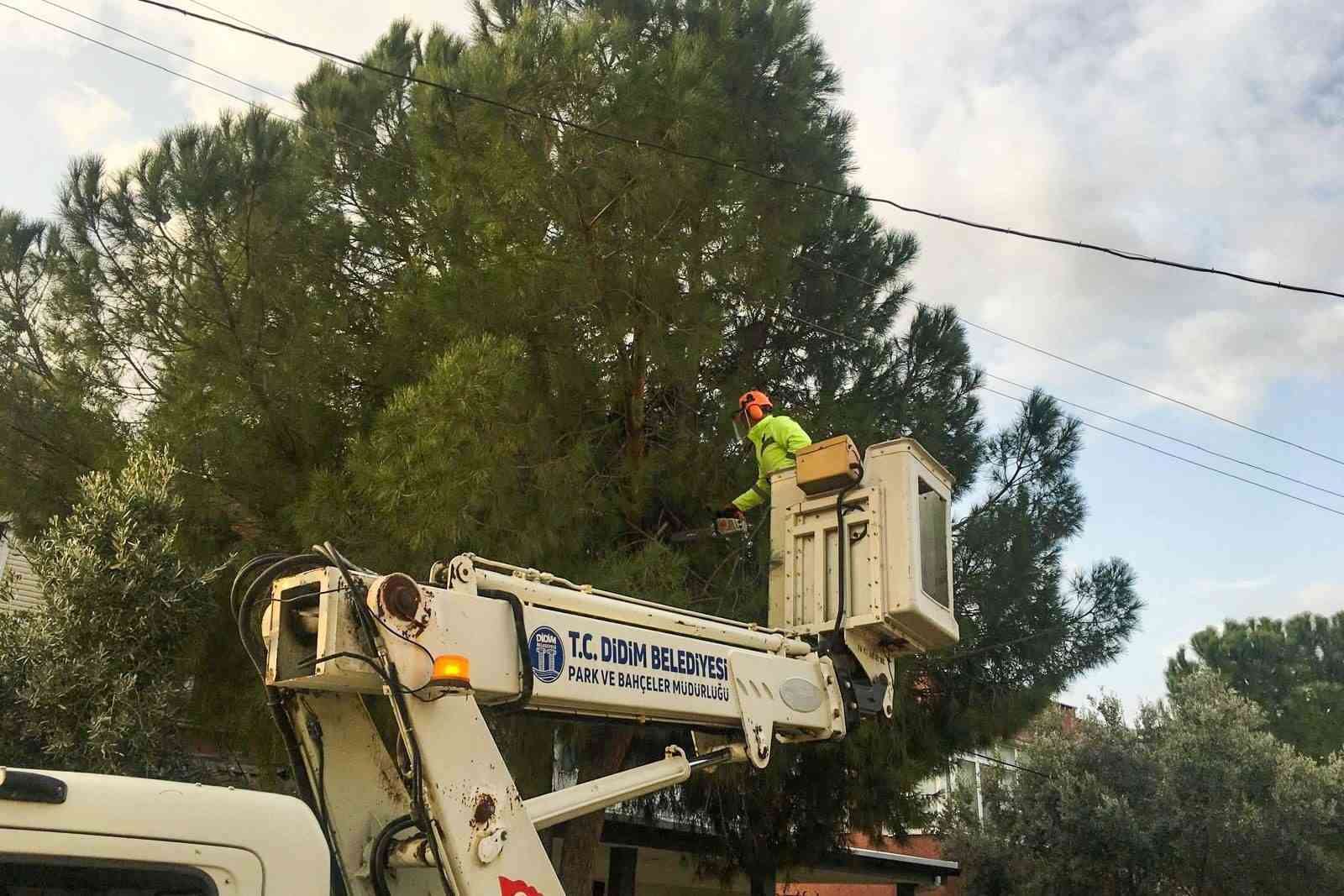 Didim Belediyesi ilçe genelinde çalışmalarını sürdürüyor
Didim Belediyesi ilçe genelinde çalışmalarını sürdürüyor