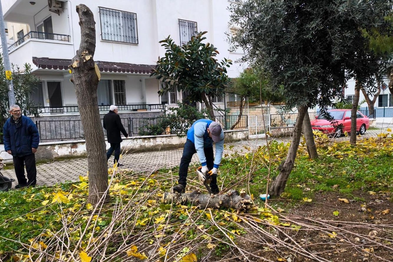Didim Belediyesi ilçe genelinde çalışmalarını sürdürüyor
Didim Belediyesi ilçe genelinde çalışmalarını sürdürüyor