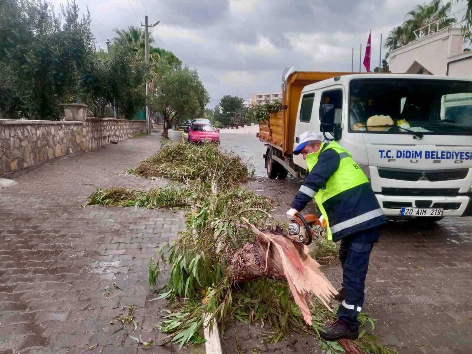 Didim Belediyesi sahada çalışmalarını sürdürüyor
